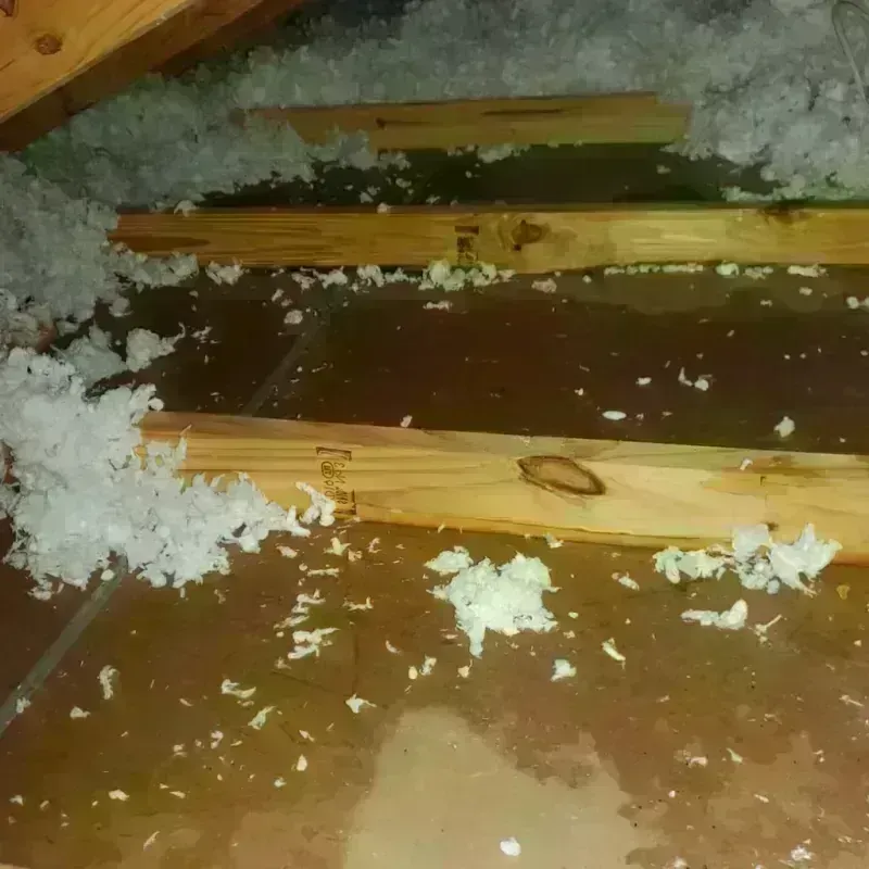 Attic Water Damage in Carroll County, TN